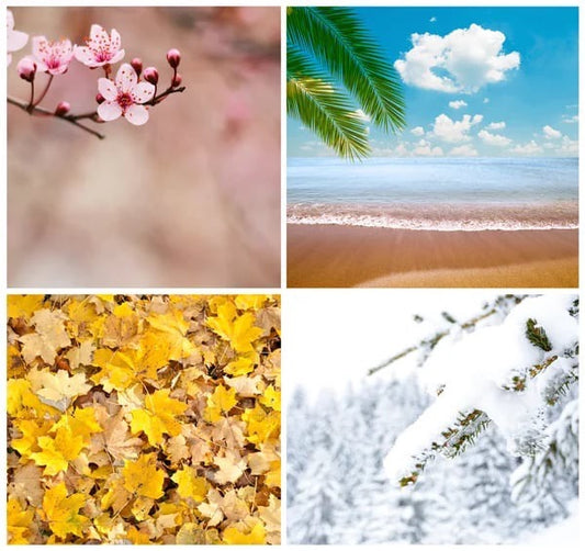 Seasonal Scents